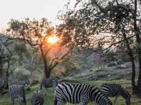 Marion, Romane South Africa 2014 (70 of 80) : Bundu lodge, Marion visit